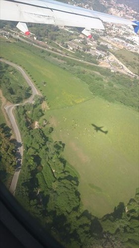 飛行機と影